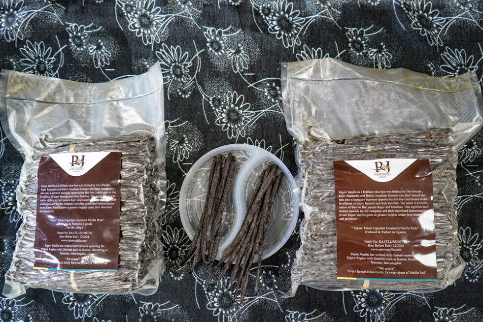 Our Vanilla Products